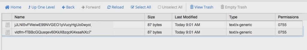 VISUAL GUIDE TO INSTALLING A LET’S ENCRYPT SSL ON GODADDY CPANEL HOSTING